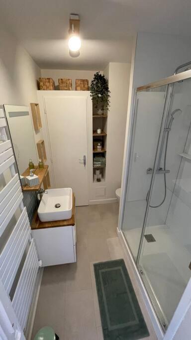 Cocon Douillet Pres De La Gare. Apartment Nancy Ngoại thất bức ảnh