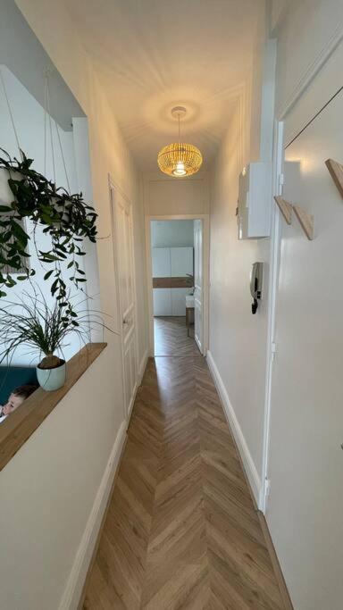 Cocon Douillet Pres De La Gare. Apartment Nancy Ngoại thất bức ảnh