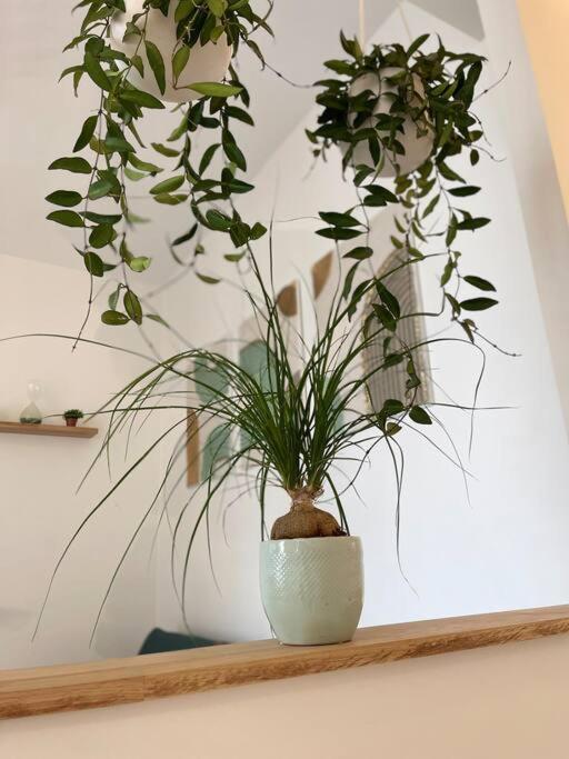 Cocon Douillet Pres De La Gare. Apartment Nancy Ngoại thất bức ảnh