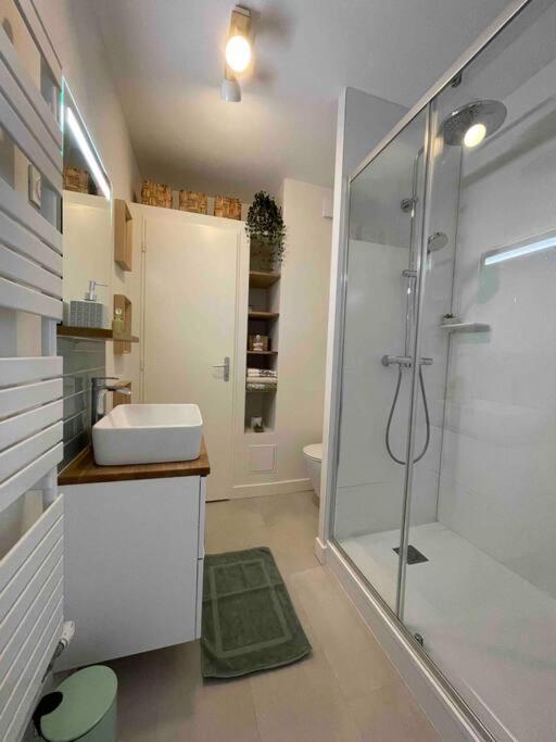 Cocon Douillet Pres De La Gare. Apartment Nancy Ngoại thất bức ảnh