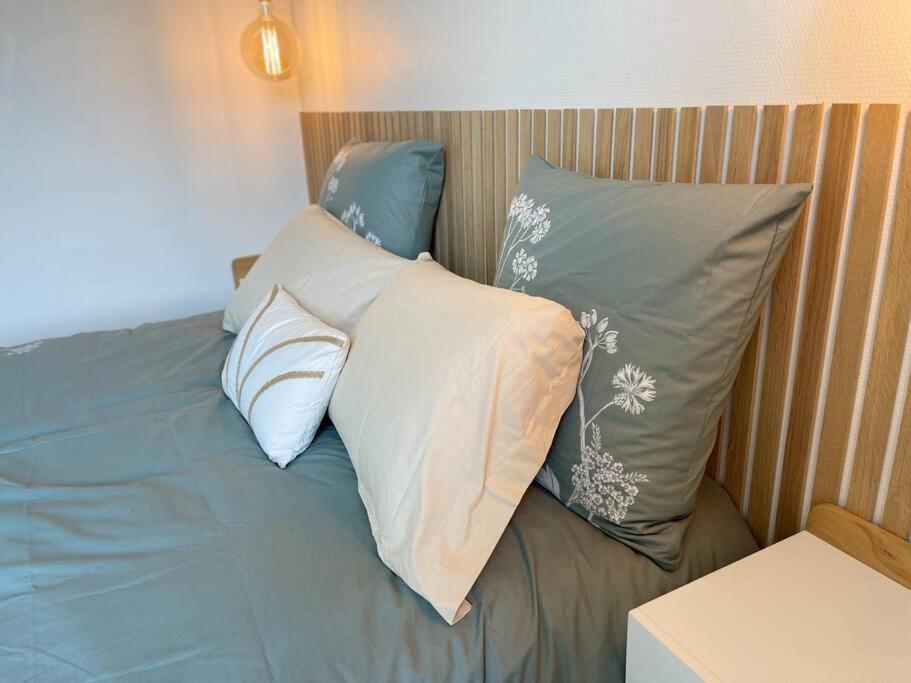 Cocon Douillet Pres De La Gare. Apartment Nancy Ngoại thất bức ảnh